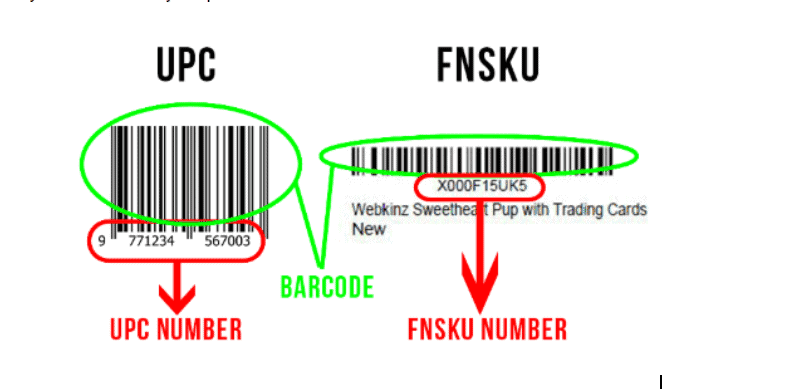 Amazon FNSKU vs UPC barcode differences