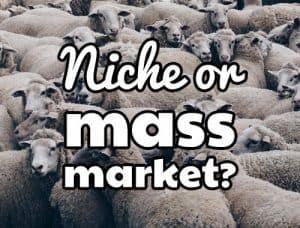 Should you sell niche or mass market products?
